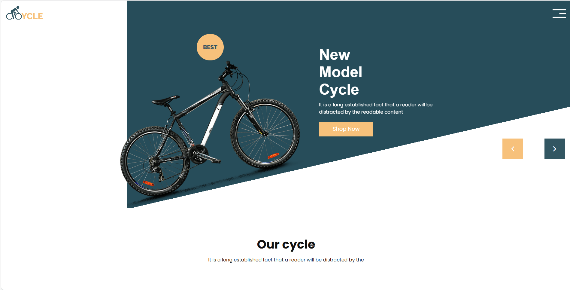 Cycle Website